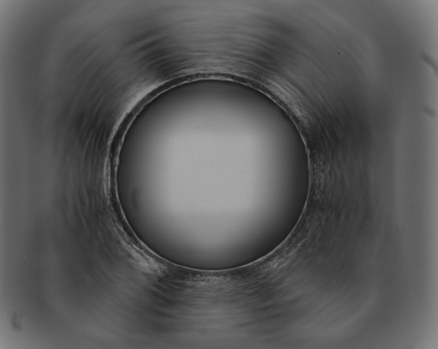 X0000091521076200709071011