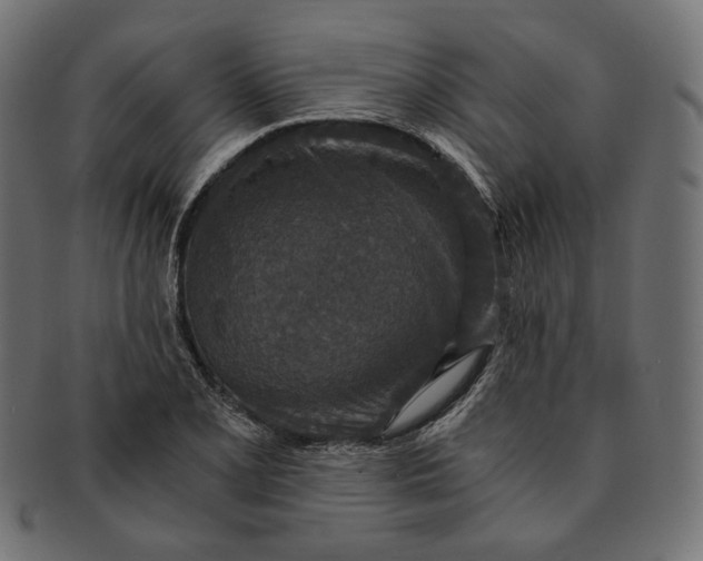 X0000091521077200709071011