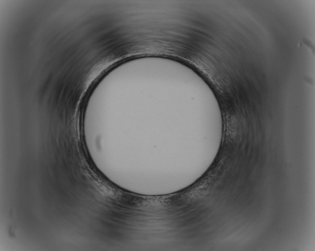 X0000091521078200709071011