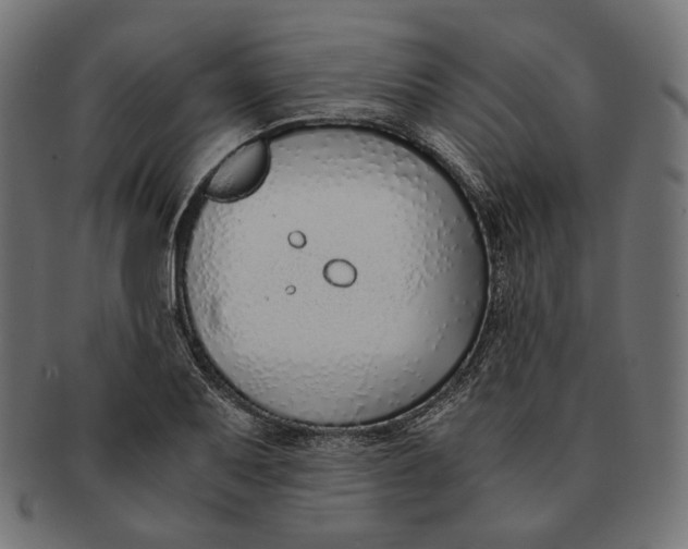 X0000091521079200709071011