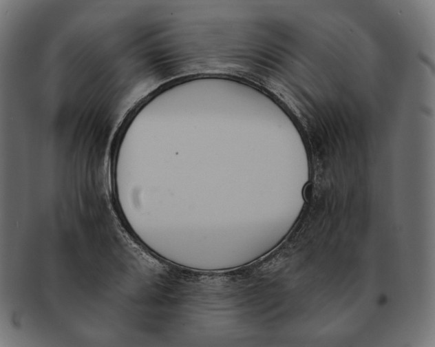 X0000091521080200709071011