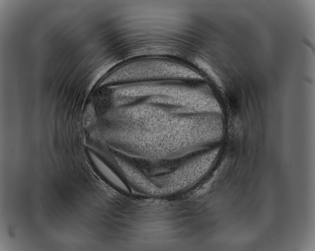 X0000091521081200709071011