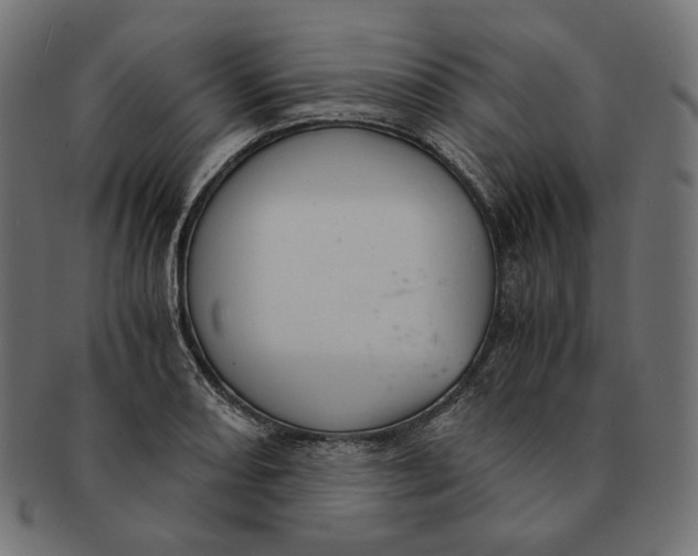 X0000091521082200709071011