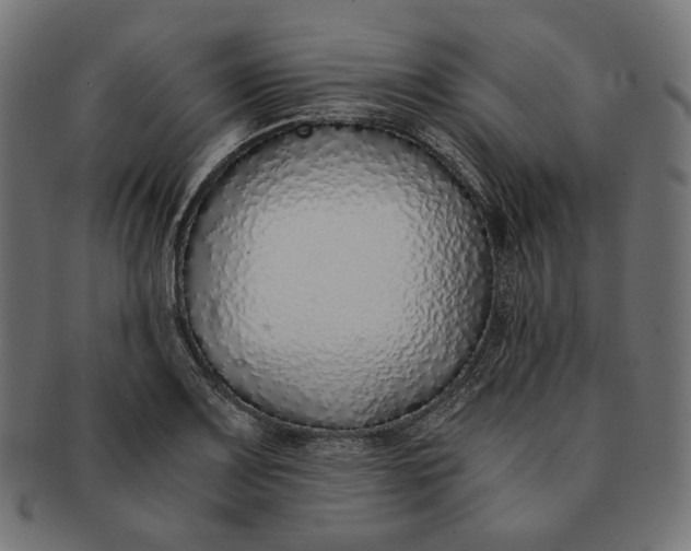 X0000091521083200709071011