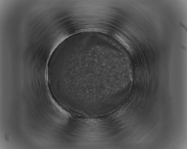 X0000091521084200709071011