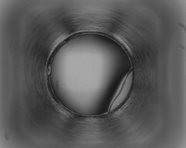 X0000091521085200709071011