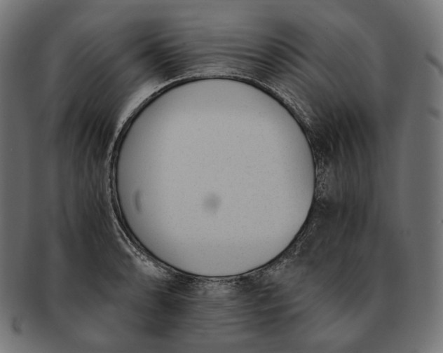 X0000091521086200709071011