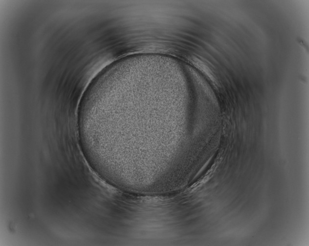 X0000091521087200709071011