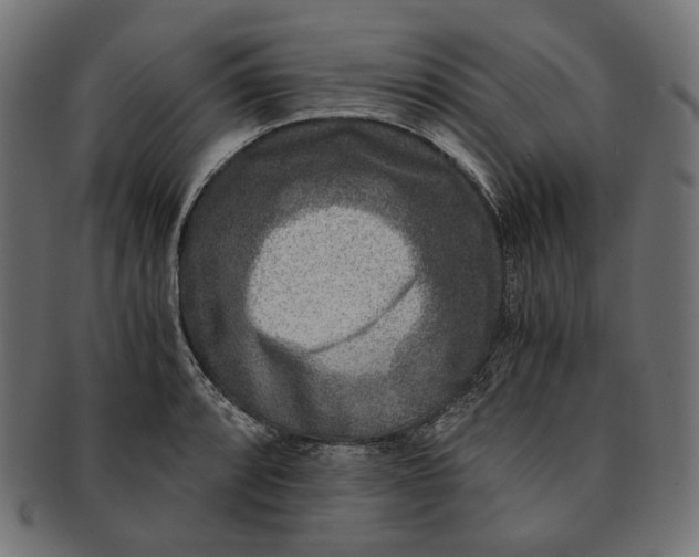 X0000091521088200709071011