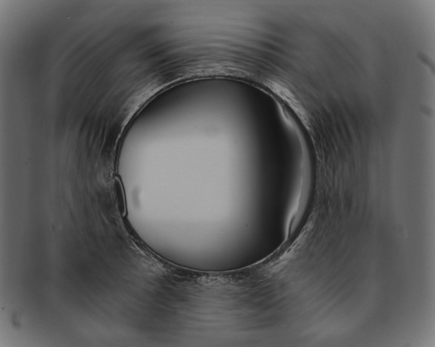 X0000091521089200709071011