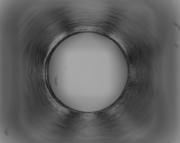 X0000091521090200709071011