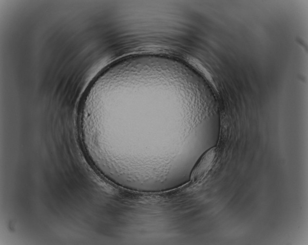 X0000091521091200709071011