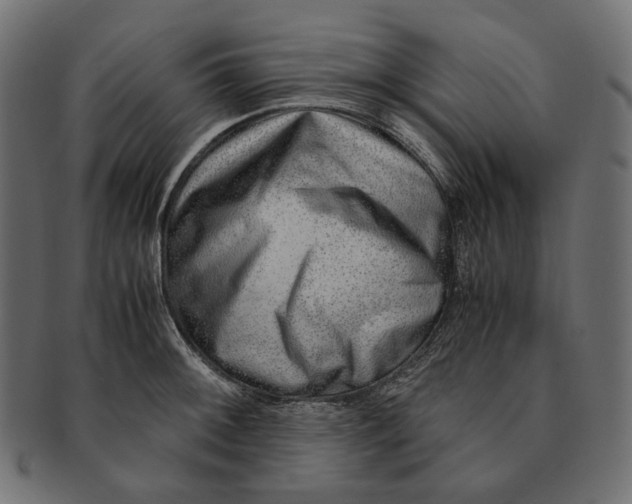 X0000091521092200709071011