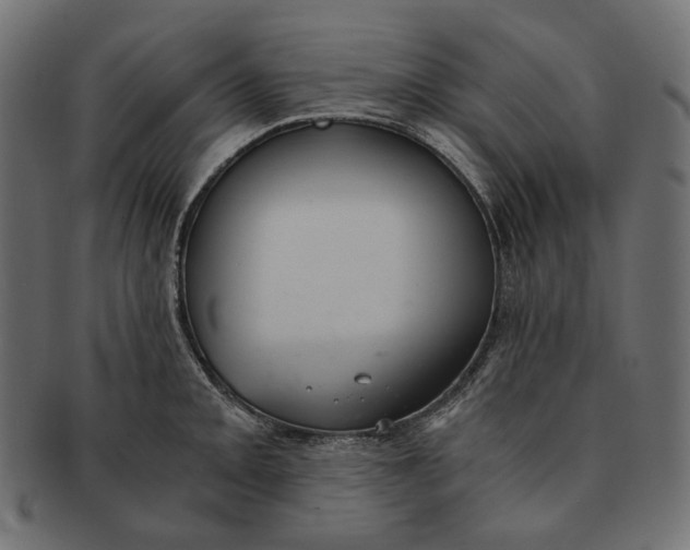 X0000091521093200709071011