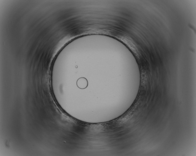 X0000091521094200709071011