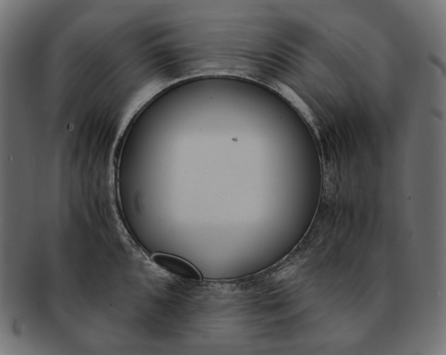 X0000091521096200709071011