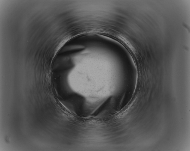 X0000091521097200709071011