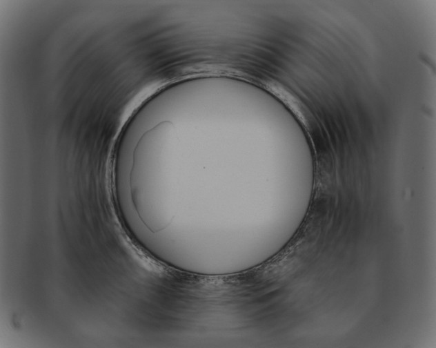 X0000091521098200709071011