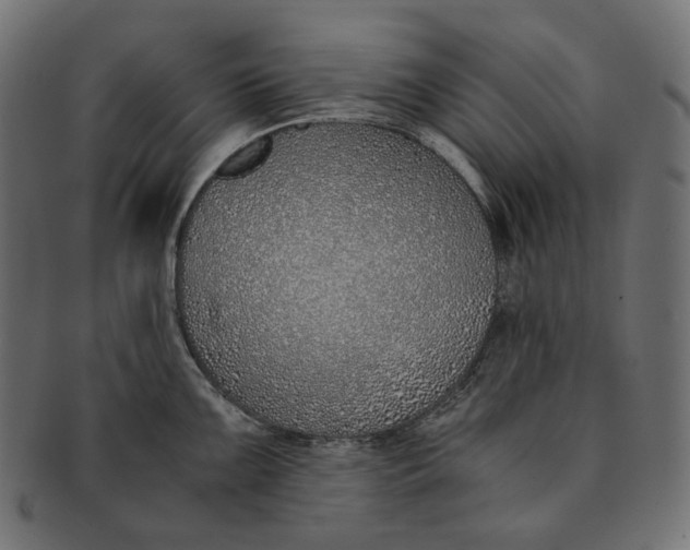 X0000091521099200709071011