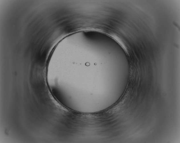 X0000091521100200709071011