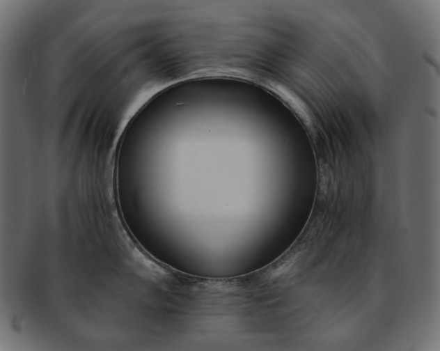 X0000091521102200709071011