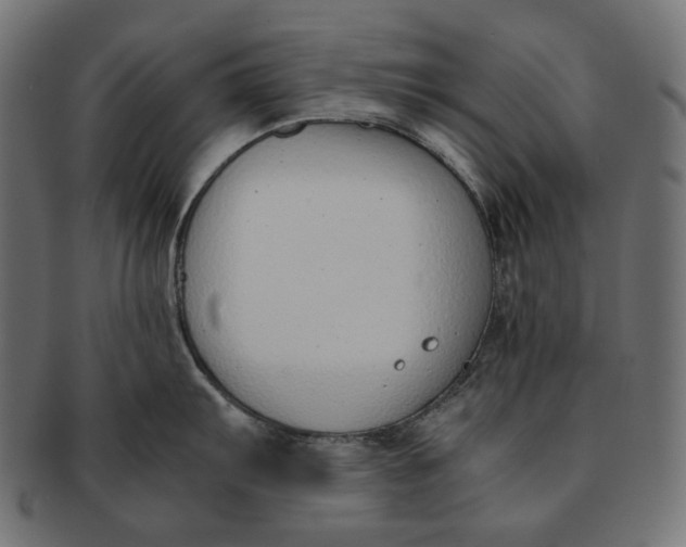 X0000091521103200709071011