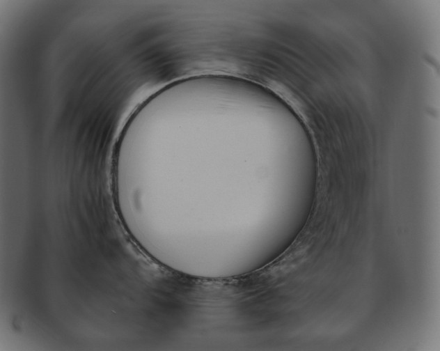 X0000091521104200709071011