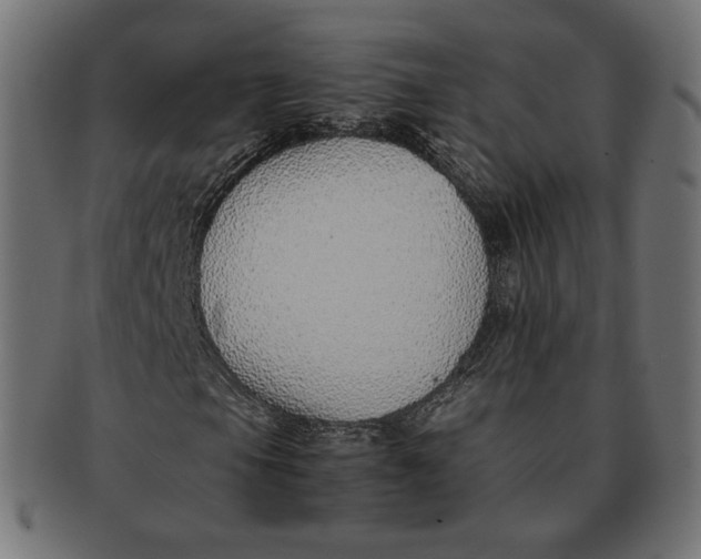 X0000091521105200709071010