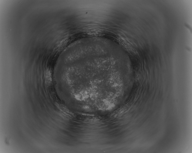 X0000091521106200709071010