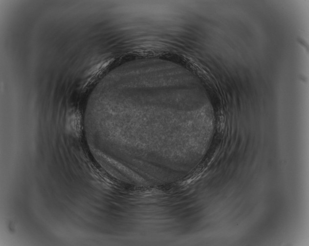 X0000091521108200709071010