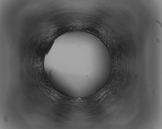 X0000091521109200709071010