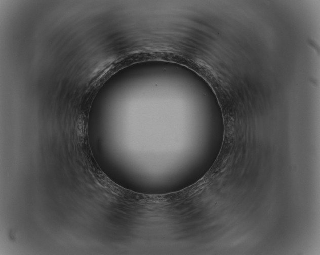 X0000091521110200709071010