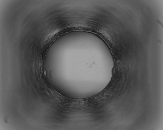 X0000091521111200709071010