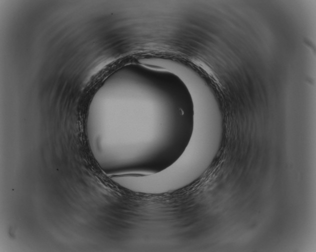 X0000091521112200709071010