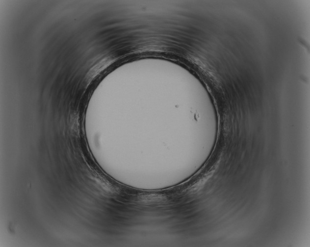 X0000091521113200709071010