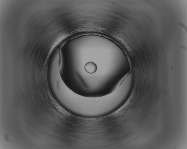 X0000091521114200709071010