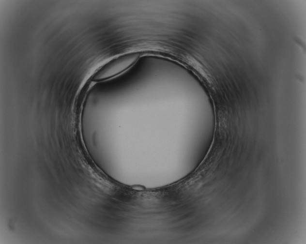 X0000091521116200709071010