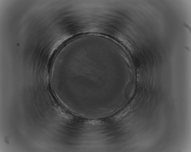 X0000091521117200709071010