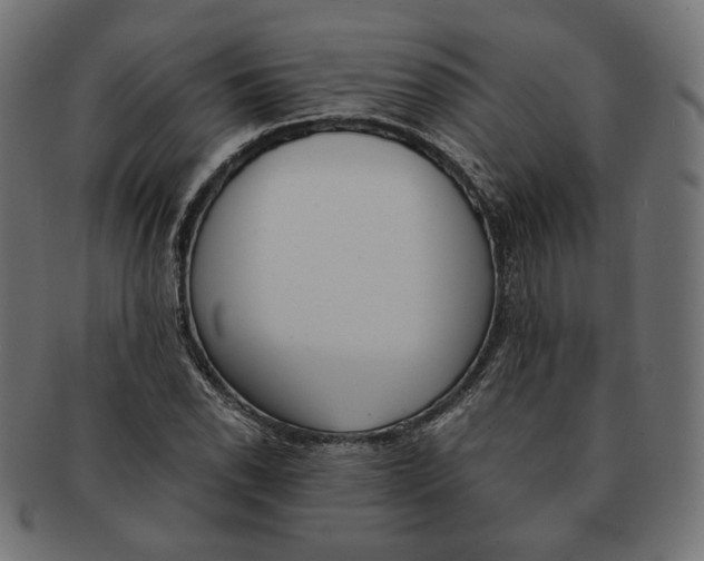 X0000091521118200709071010