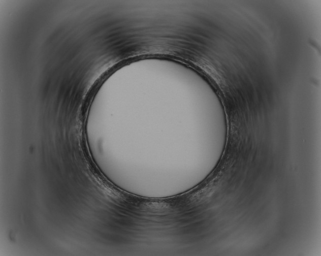 X0000091521119200709071010