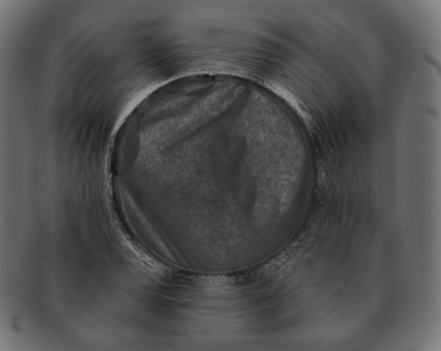 X0000091521120200709071010