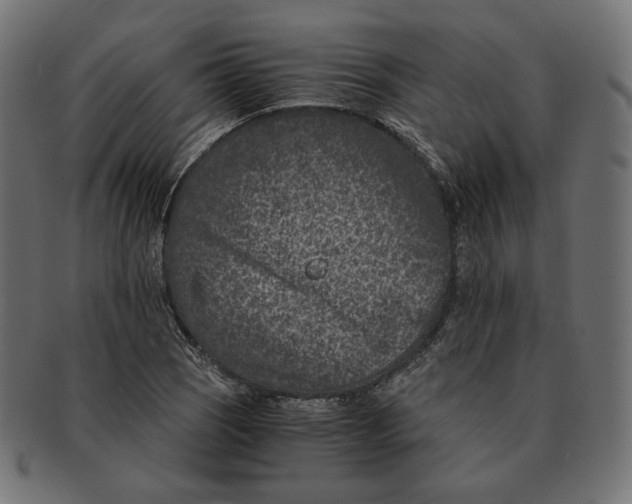 X0000091521121200709071010