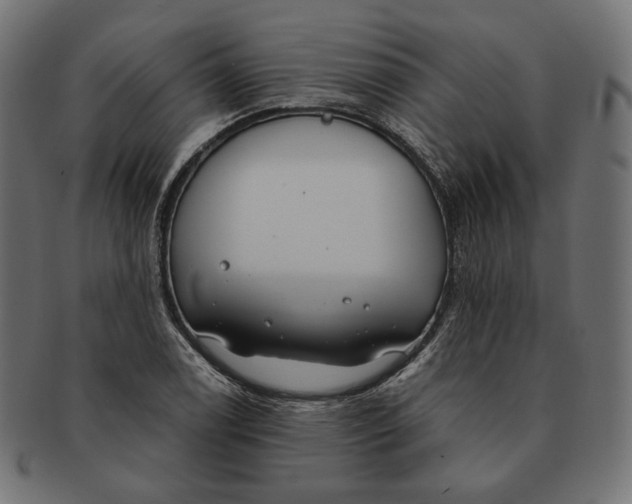 X0000091521122200709071010