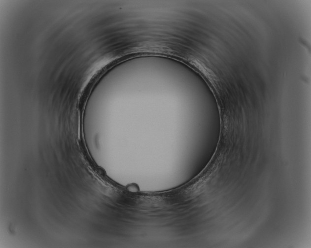 X0000091521123200709071010