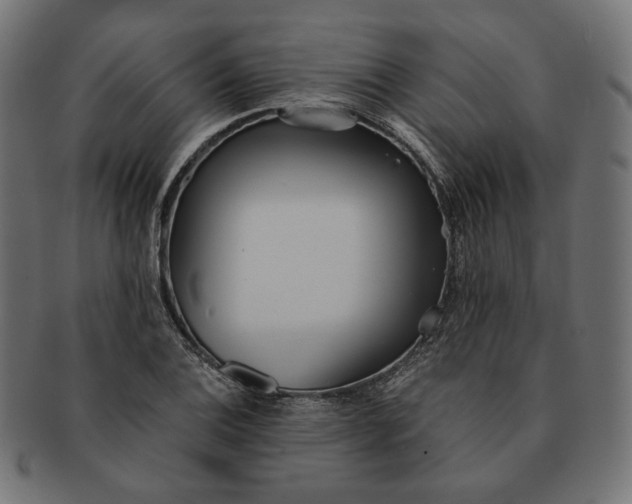 X0000091521124200709071010