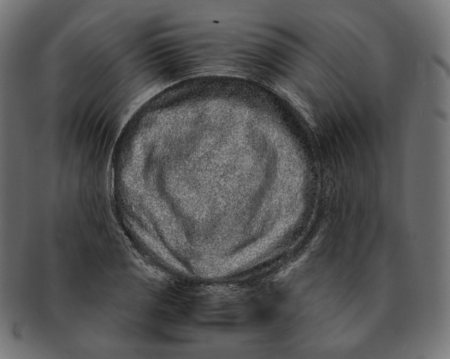 X0000091521125200709071010