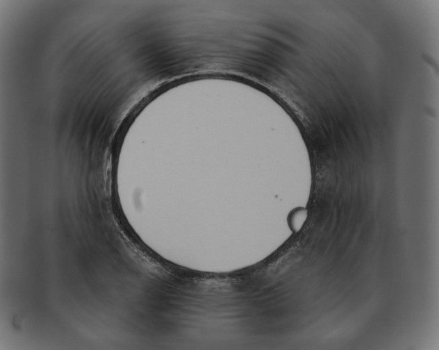 X0000091521126200709071010