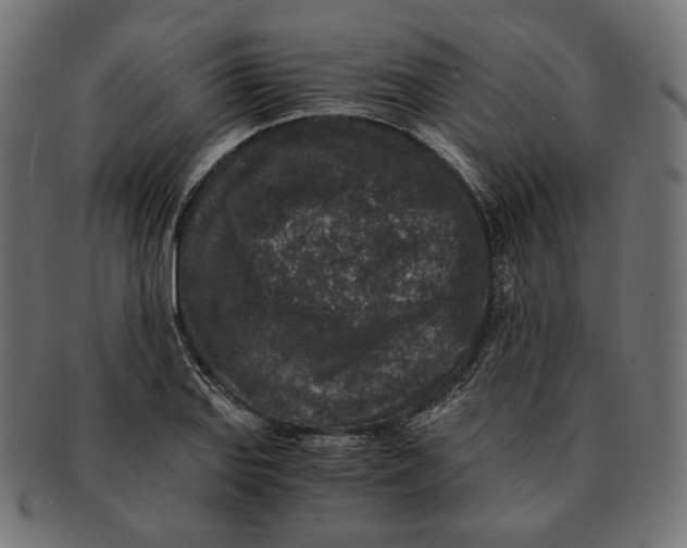 X0000091521127200709071010