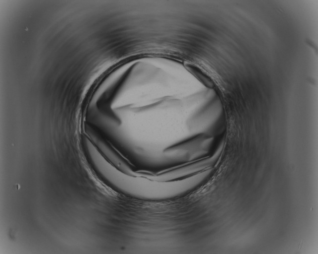 X0000091521128200709071010