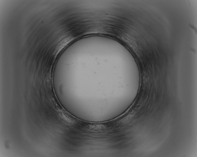 X0000091521129200709071010